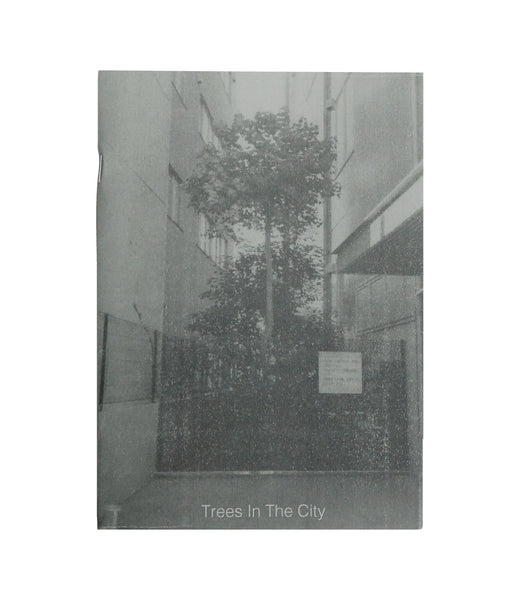 Trees In The City